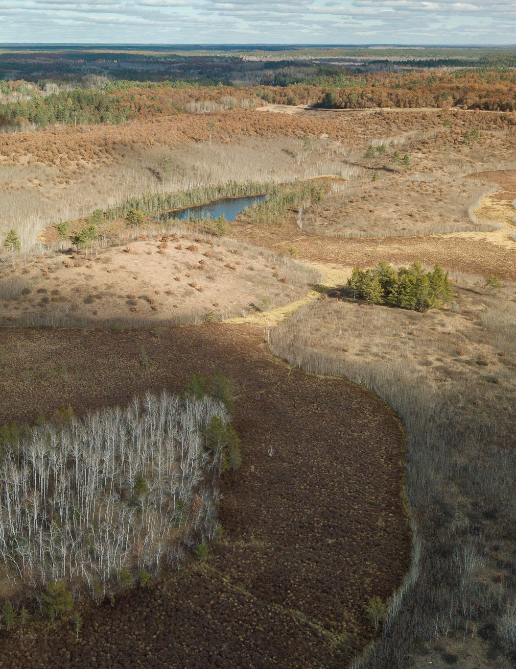Friends of the Namekagon Barrens Wildlife Area – Conserving